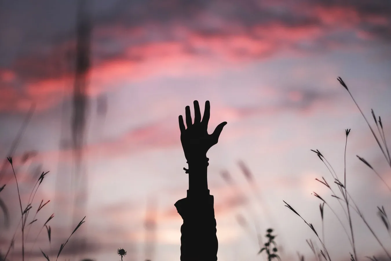 фото инстаграм. источник https://unsplash.com/photos/YWAVTqGnyjI