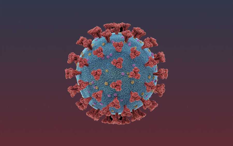 Как я могу защитить себя (и других) от нового коронавируса - COVID-19? - rdd.media 2023