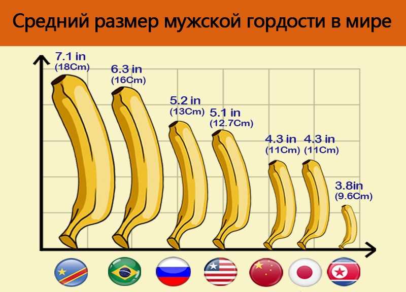 Каким должен быть размер члена?