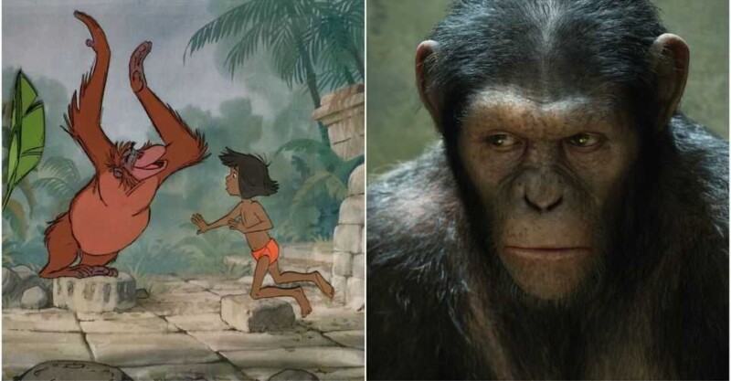 рейтинг 10 лучших обезьян в истории кино