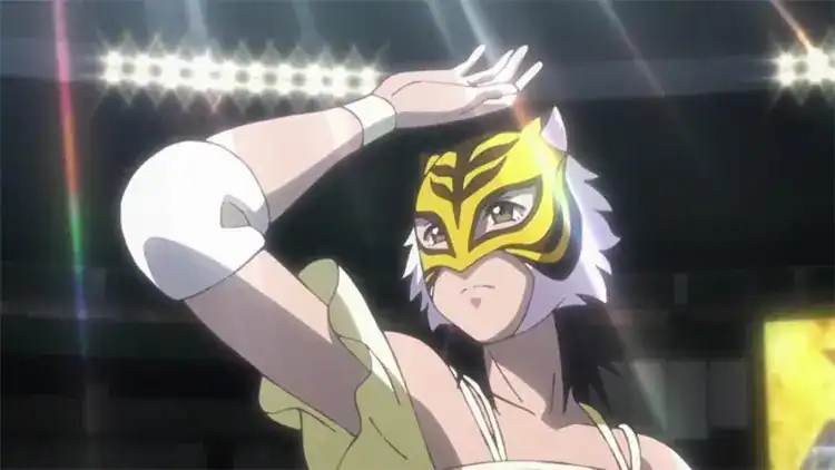 Tiger Mask W аниме