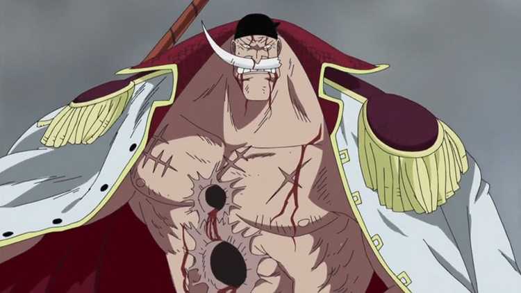 Белоус из аниме One Piece