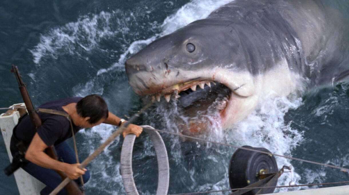 20 фильмов про акул, атаки и нападения на людей - rdd.media 2023