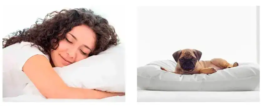 Как выбрать идеальную подушку для сна? - rdd.media 2023