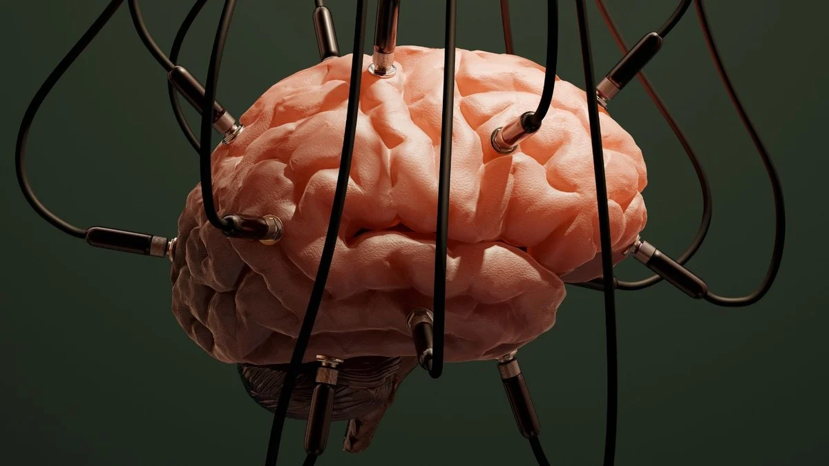 Ученые хотят развивать ИИ, используя клетки человеческого мозга - rdd.media 2023