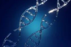 В США рассматривают лечение смертельной болезни с помощью технологии редактирования генов CRISPR - rdd.media 2024