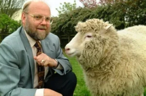 Умер сэр Ян Вилмут, в 1996 году клонировавший овцу Долли - rdd.media 2024