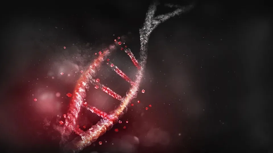 DNA имеет срок годности (или период полураспада). Однако белки раскрывают секреты о наших древних предках, которые мы никогда не могли предположить возможным. - rdd.media 2025