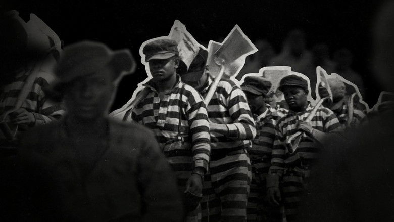 Коллекция из 13 фильмов о расовой политике: от женщин Третьего Рейха до нового Камен Райдера 1 Коллекция из 13 фильмов о расовой политике: от женщин Третьего Рейха до нового Камен Райдера - rdd.media 2026