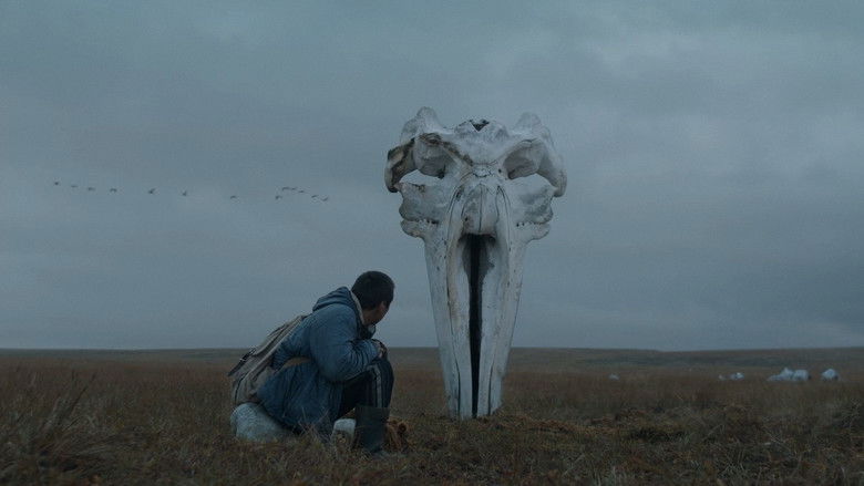 Коллекция захватывающих фильмов про вебкамеру - rdd.media 2026